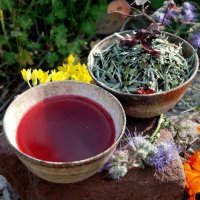 Julians Tanzanian tea mix - organic lemon grass, organic hibiscus, organic moringa image 1