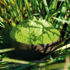 Barley Grass powder - Premium quality