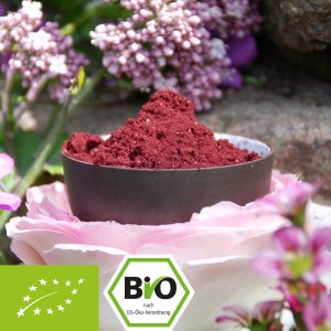 Organic blueberry powder