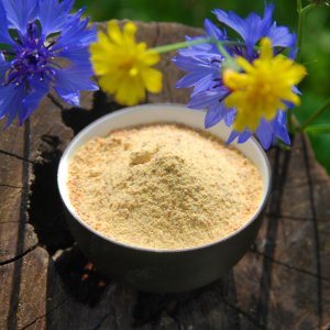 Propolis Pulver gerein.