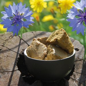 Propolis Stücke roh