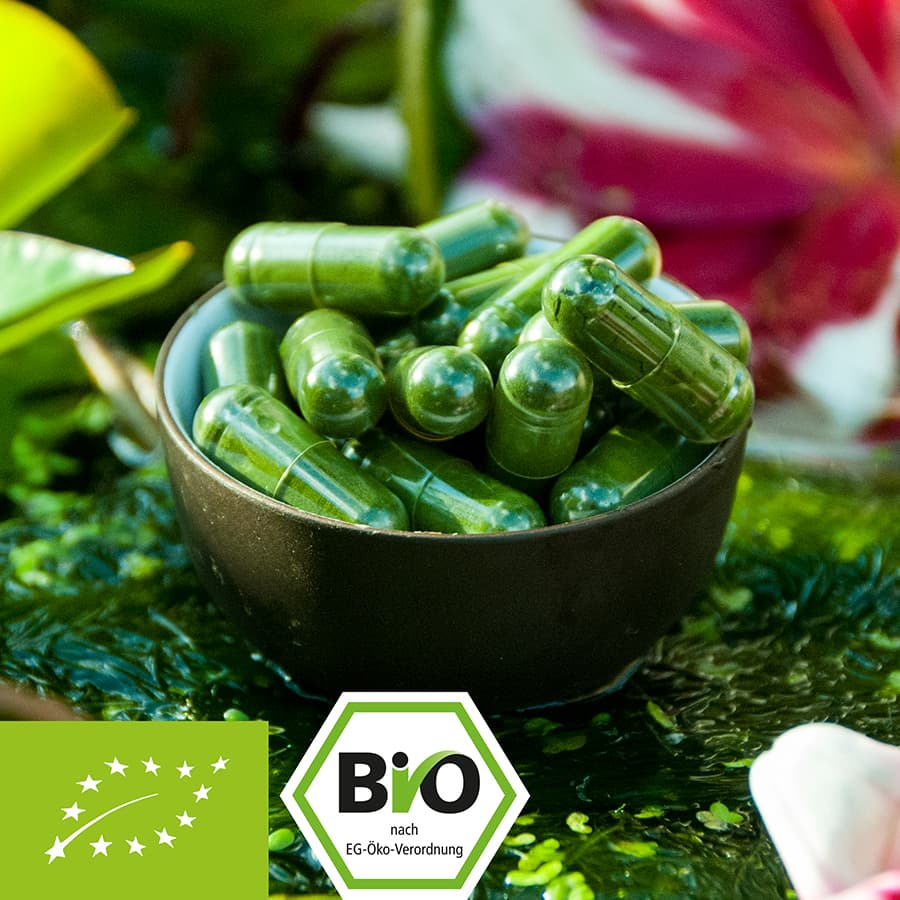 Organic Chlorella capsules from glass tubes Cultivation in Europe 