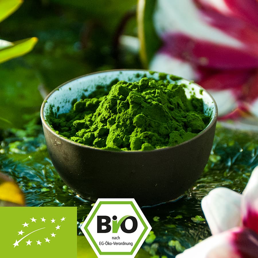 Chlorella Pulver aus Glasröhren Anbau in Portugal - kbA 