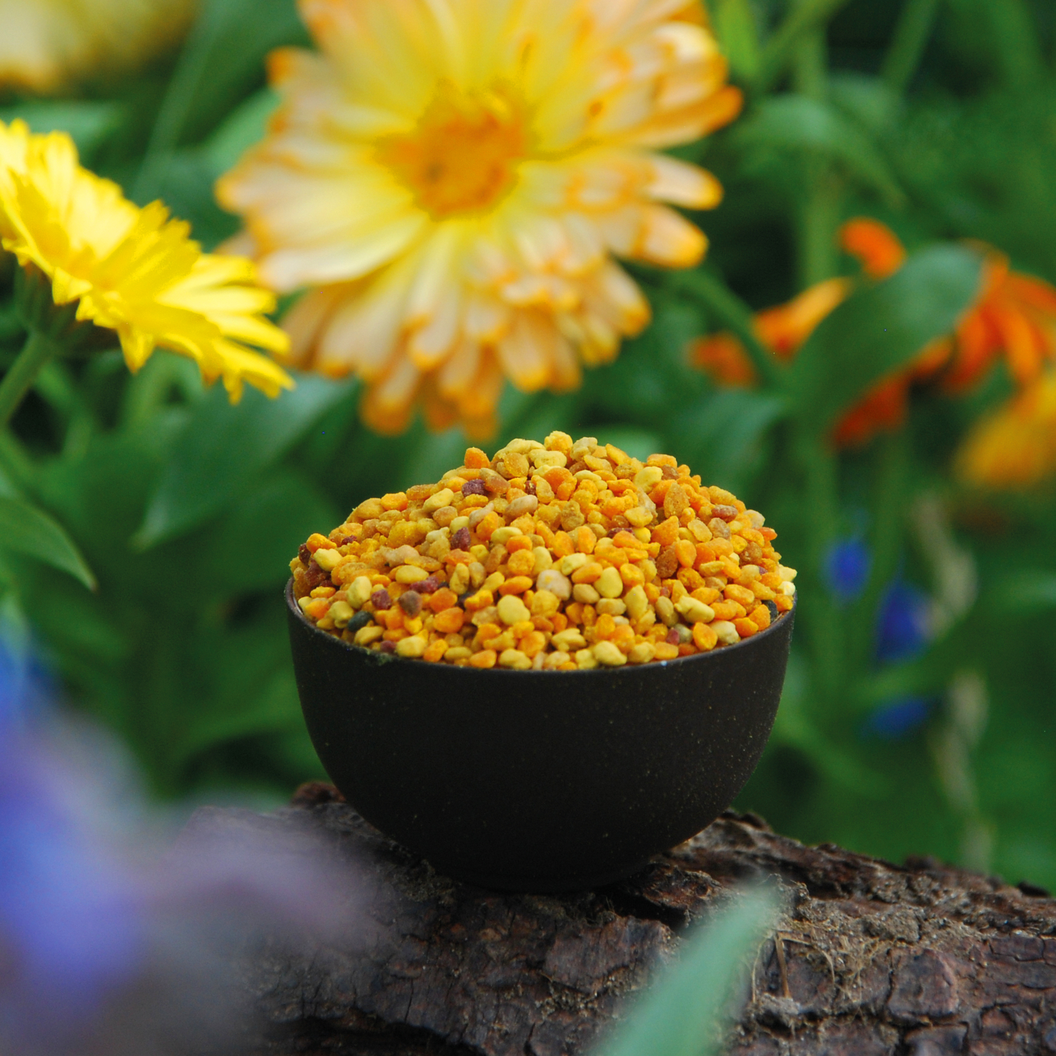 Spanish Bee pollen 