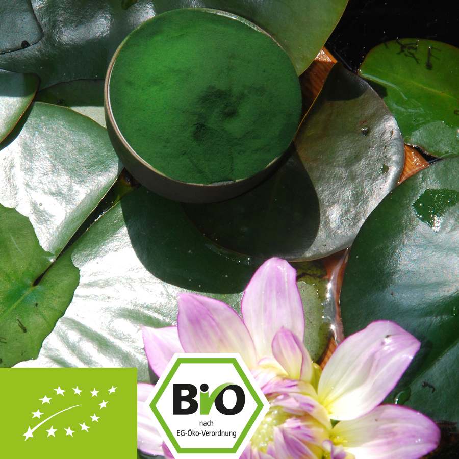 Bio Chlorella pyrenoidosa - zuiver poeder - zonder additieven 