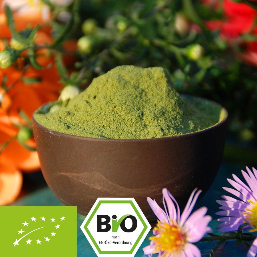 100% organic kale powder without additives 