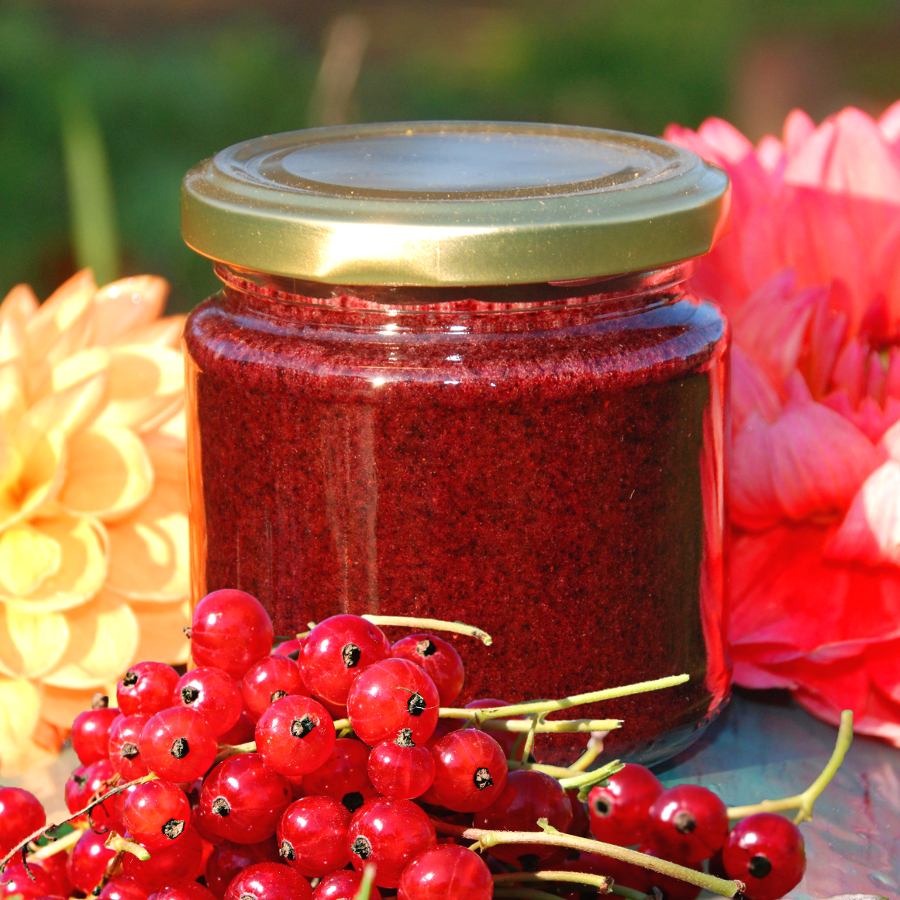 Blütenhonig mit schwarzen Johannisbeeren - Vitamin C 