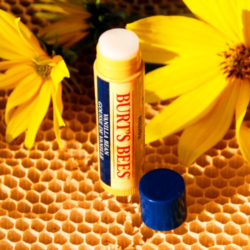 Burt's Bees Lippenpflegestift mit Bienenwachs & Vanillegeschmack 