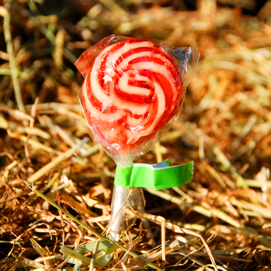 Lolli mit Johannisbeere 