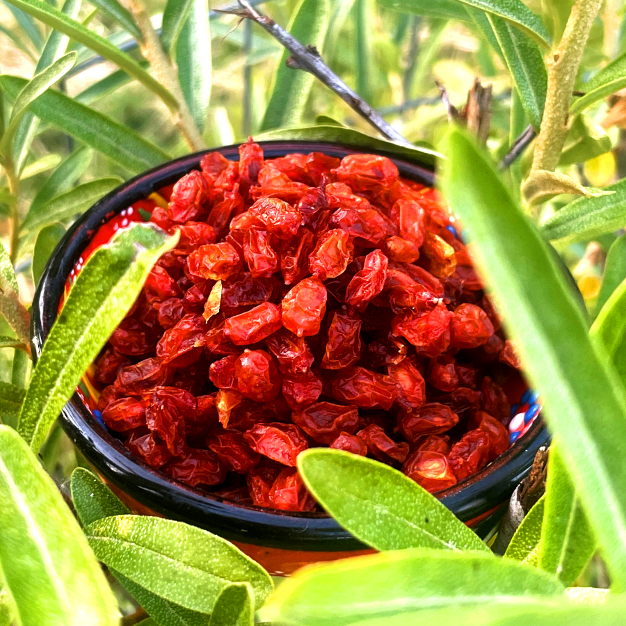 Sea buckthorn berries with apple syrup - osmotically dried 