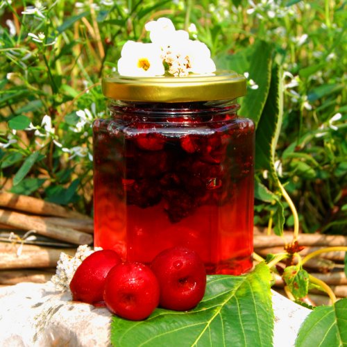 Acacia honey with sour cherries 
