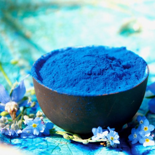 Spirulina Extrakt Pulver - Phycocyanin - blaues Spirulina 