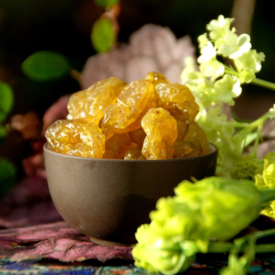 Gooseberries - candied directly after picking 