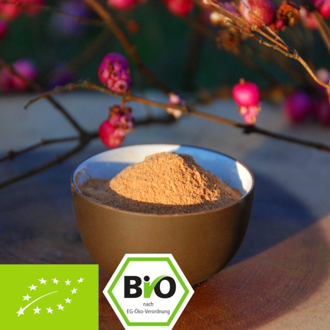 Organic Acerola powder with 21% natural vitamin C. 