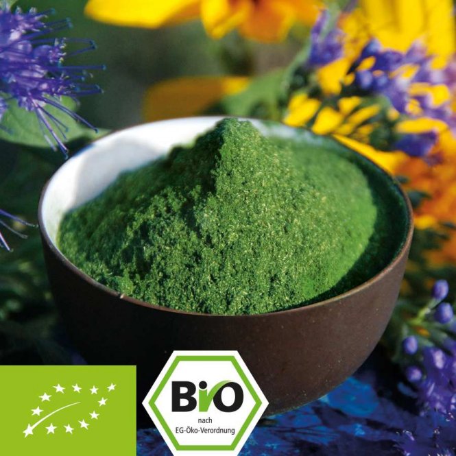 Organic Green Trio powder - barley grass - chlorella - spirulina 500g