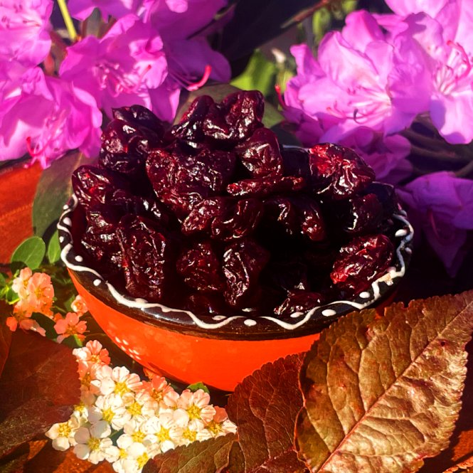 Ganze Sauerkirschen mit Apfeldicksaft - osmotisch getrocknet 250g