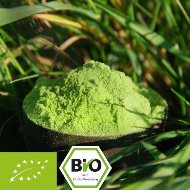 Bio Weizengras - Premiumqualität - feinst gemahlen 500 g