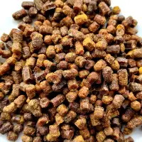 Perga - bee bread image 2