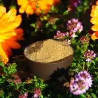 Organic pumpkin seed protein - 61% pure vegan protein image 2