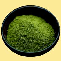 Bio Moringa oleifera Pulver - 100% rein Bild 2