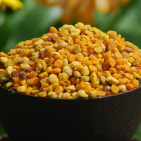 Bio Blütenpollen - Premiumqualität - kbA Bild 2