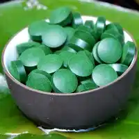 Bio Spirulina platensis Tabletten - 100% Bio zertifiziert mit Analyse Bild 2