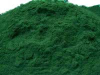 Spirulina platensis poeder - premium kwaliteit beeld 2