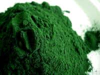 Biologische Spirulina platensis poeder - 100% biologische kwaliteit - geen additieven beeld 2