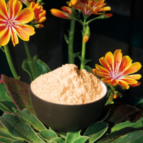 Organic Acerola powder with 21% natural vitamin C. image 2