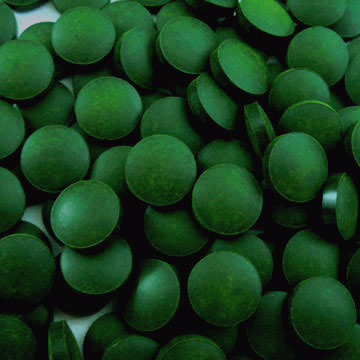 Chlorella pyrenoidosa Tabletten - Premiumqualität Bild 2