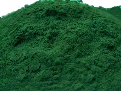 Spirulina platensis Pulver - Premiumqualität Bild 2