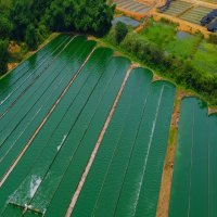 Biologische Spirulina platensis poeder - 100% biologische kwaliteit - geen additieven beeld 3