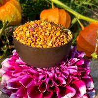 Organic pollen - premium quality - organic image 5