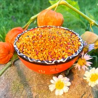 Organic pollen - premium quality - organic image 6