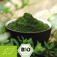 Bio Gerstengrassaft Pulver - 100% Gerstengrassaftpulver ohne Zusätze 
