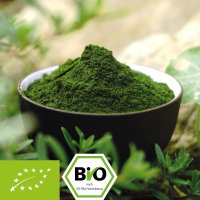 Organic barley grass juice powder 