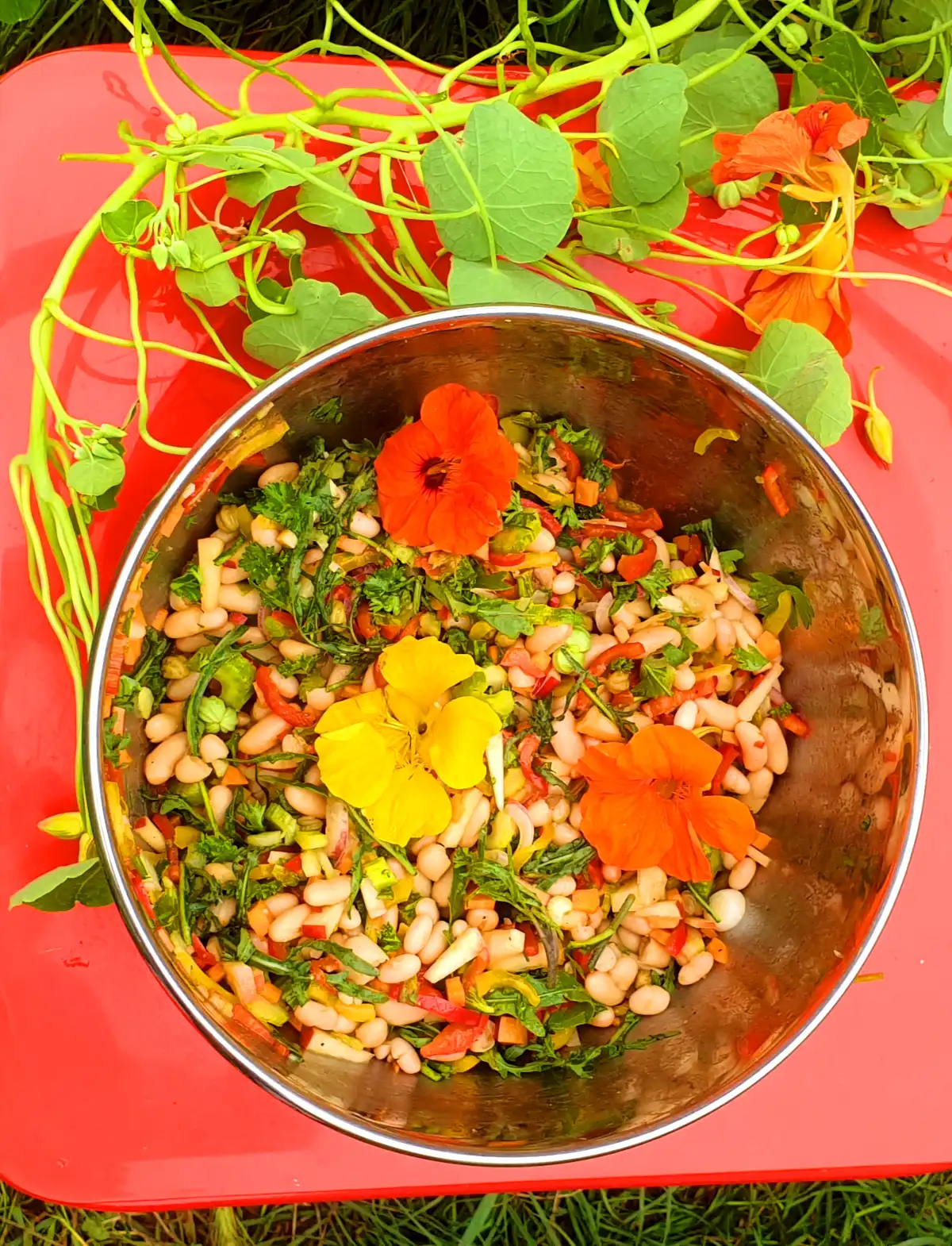 Cannellini bean salad with thyme and capers