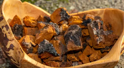 Chaga Stücke
