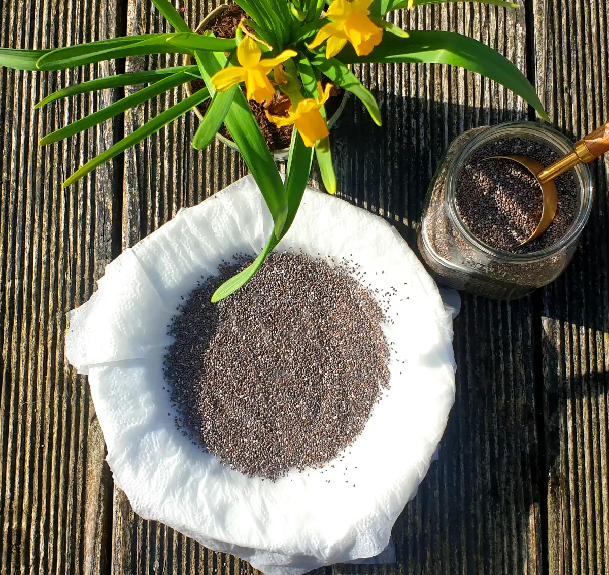 Chia Seeds