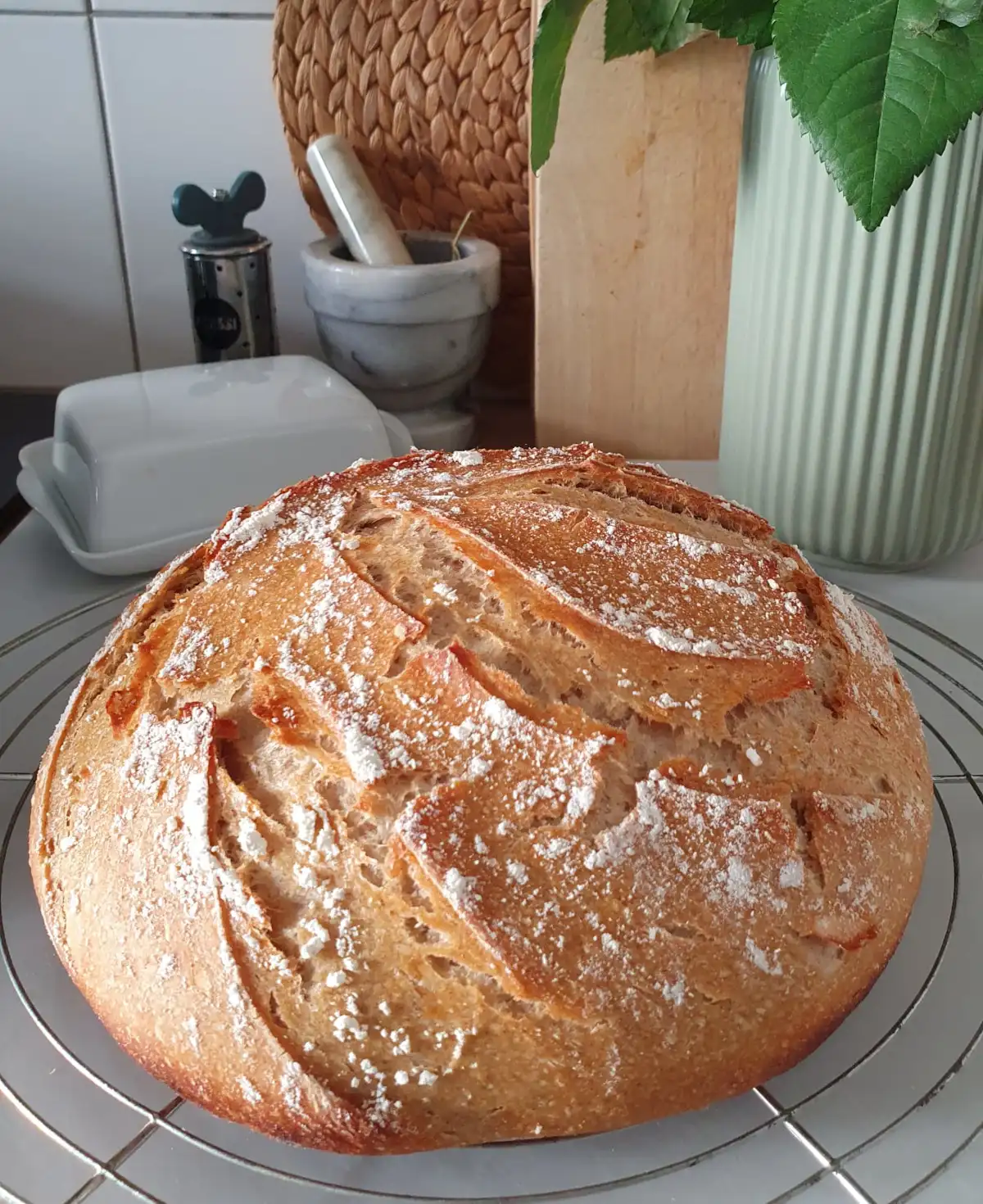 Dinkel-Sauerteigbrot