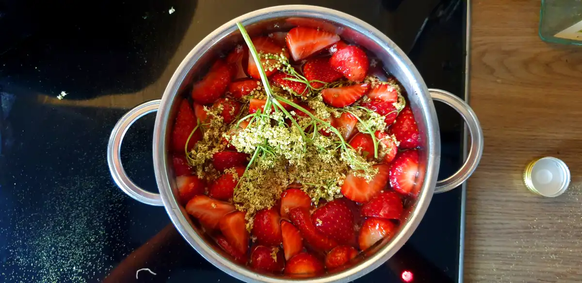 Erdbeeren und Holunderblüten im Topf