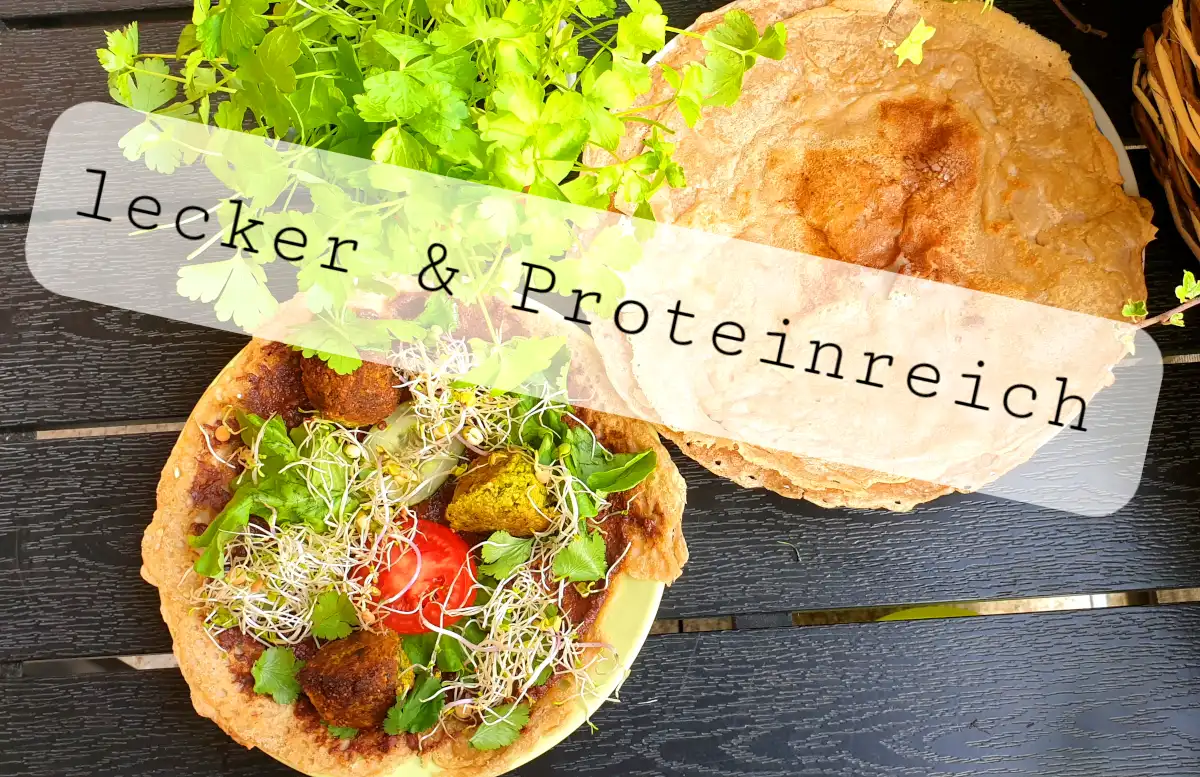 Falafel with sprouts