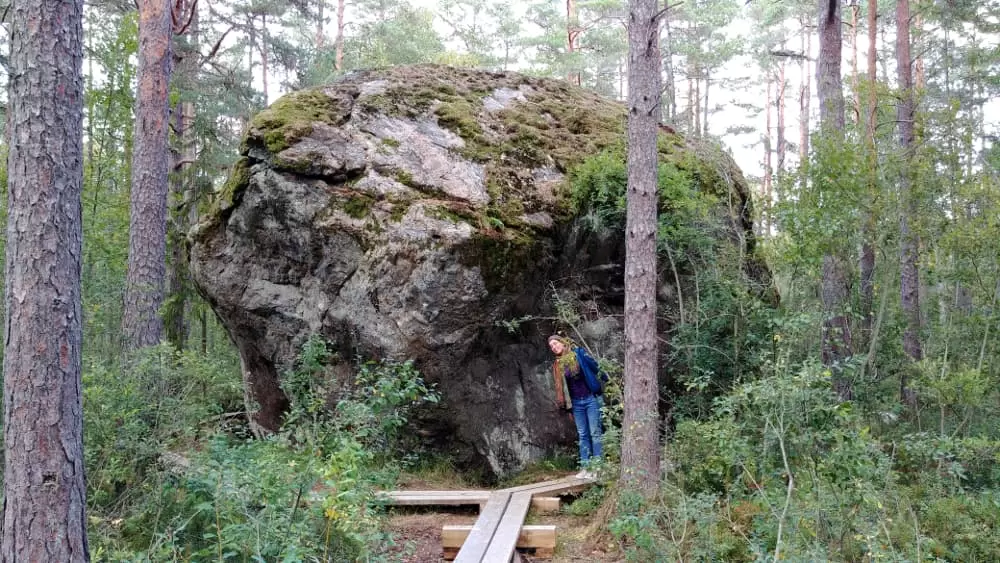 Riesen-Findling im Wald