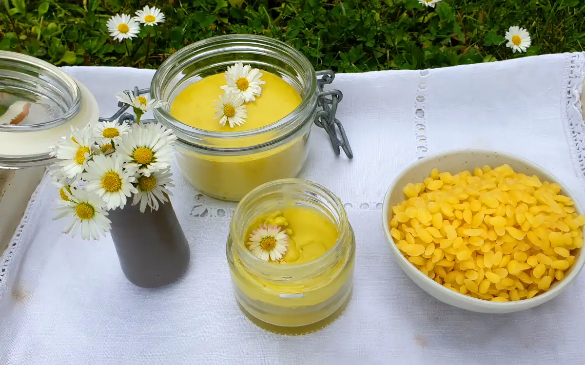 Cocklebur Ointment and Ingredients—Close-up