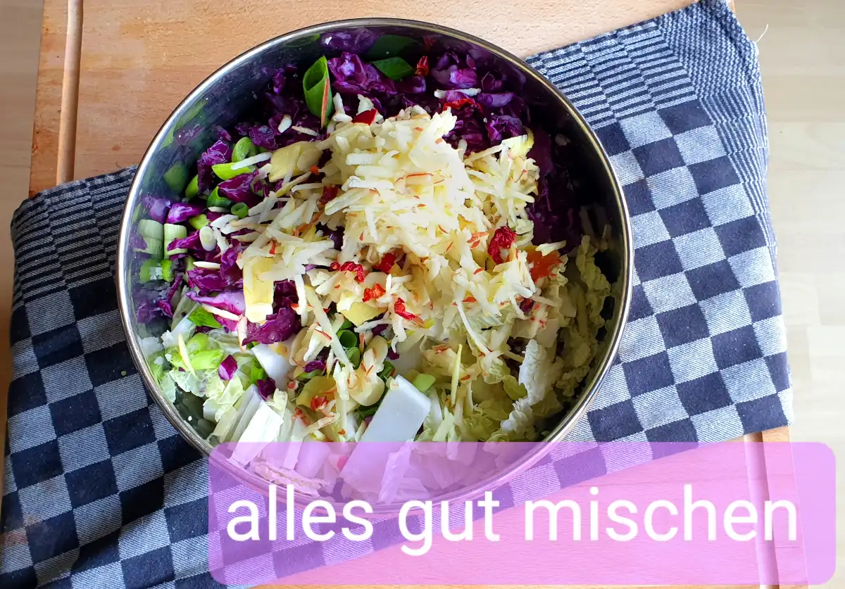 Zutaten Kimchi gemischt