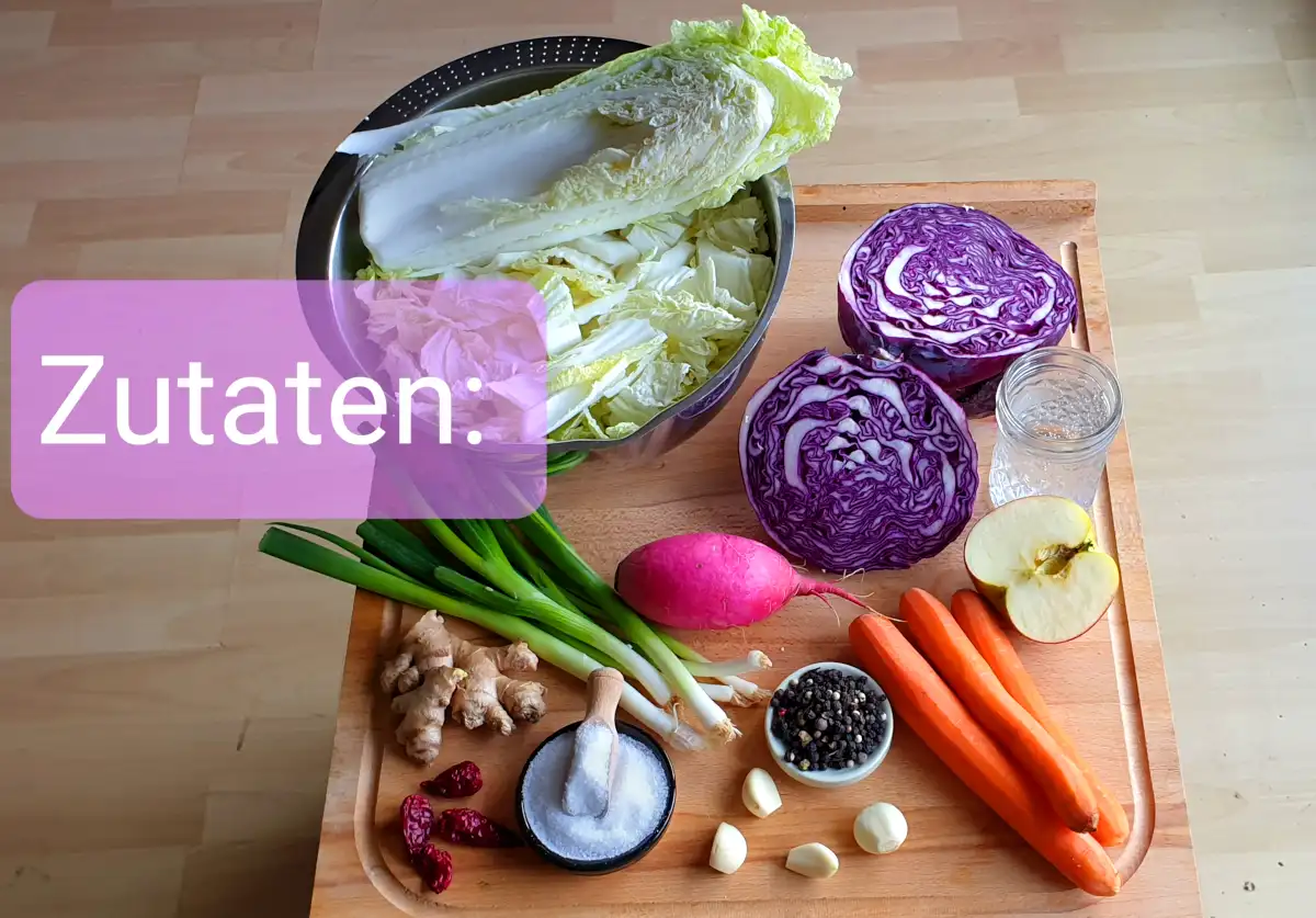 Kimchi violett Zutaten Nahaufnahme