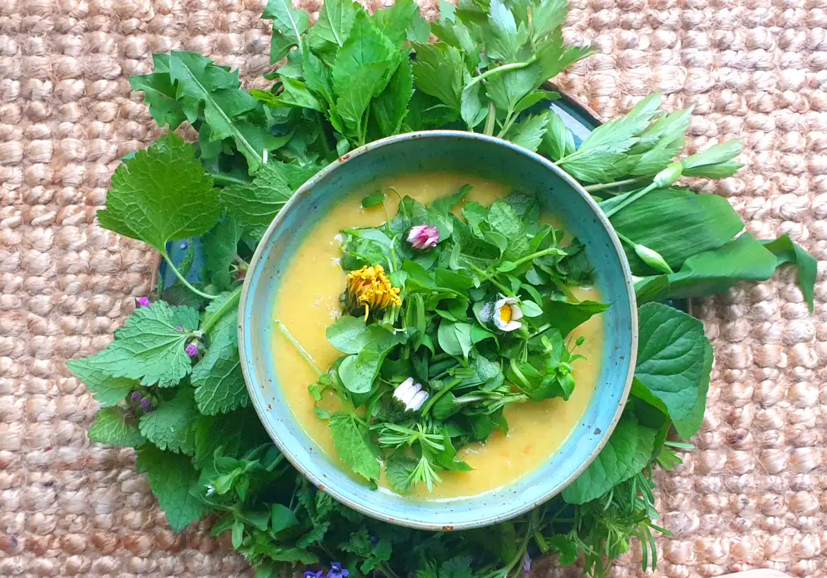 Potato soup with herbs