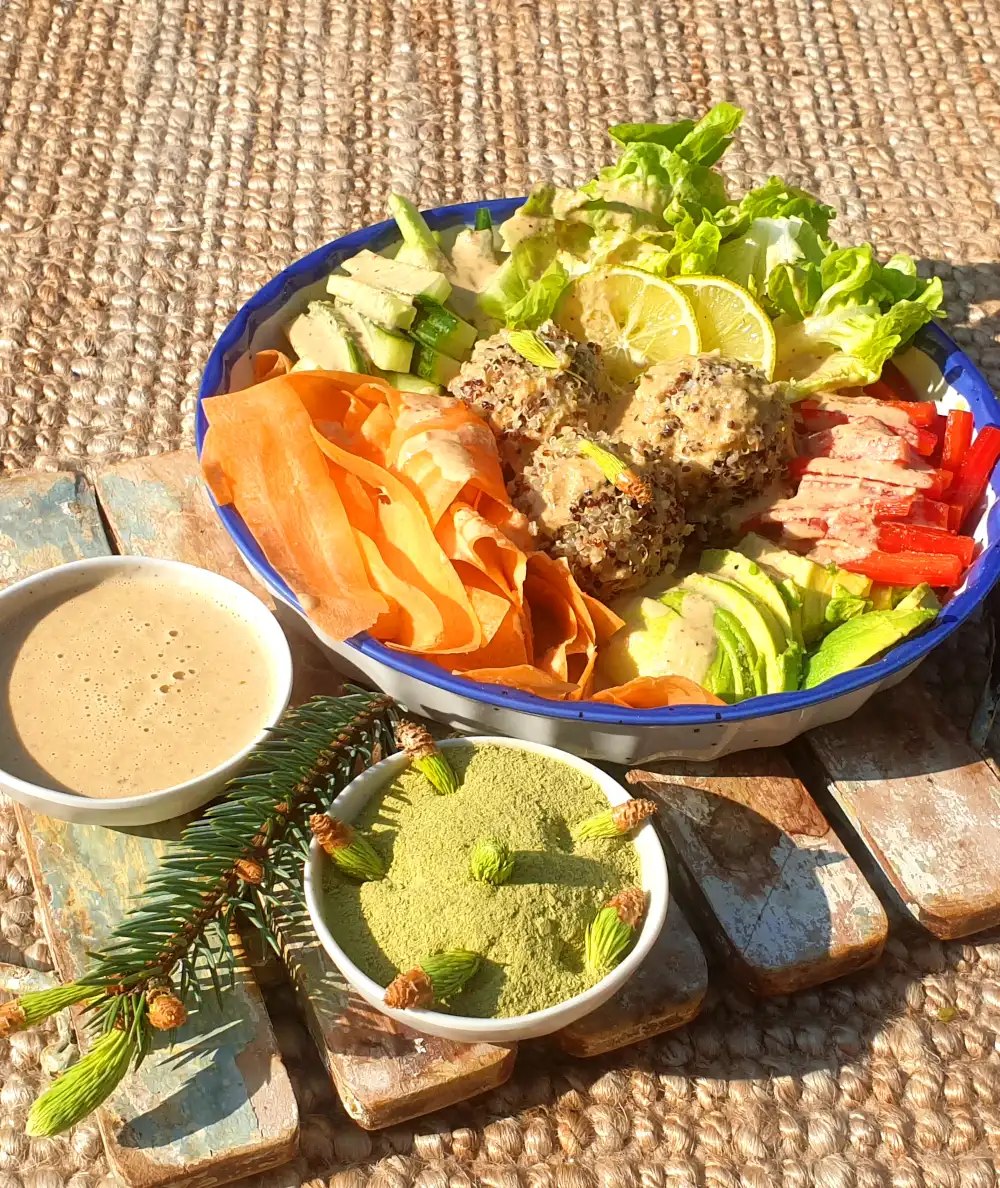 „Rohkost-Quinoa-Bowl mit Fichtensprossendressing
