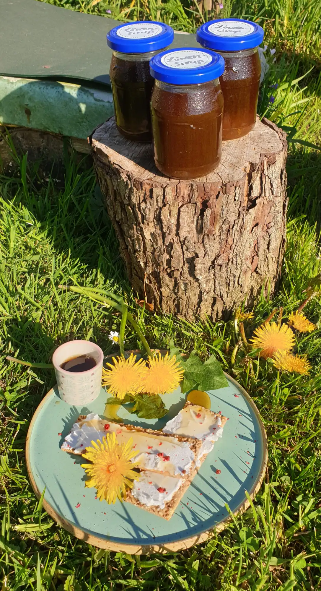 Löwenzahnblüten Sirup