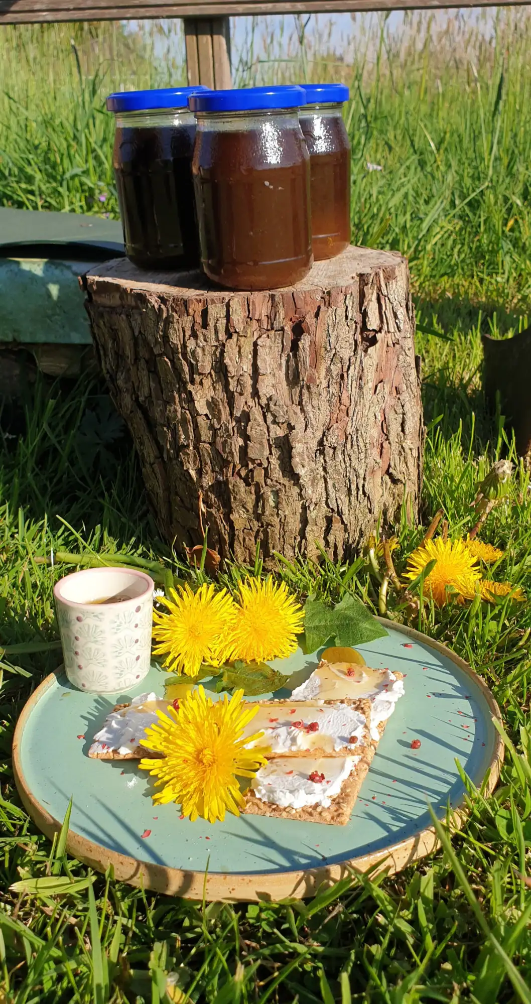 Loewenzahnbluetensirup mit Brot
